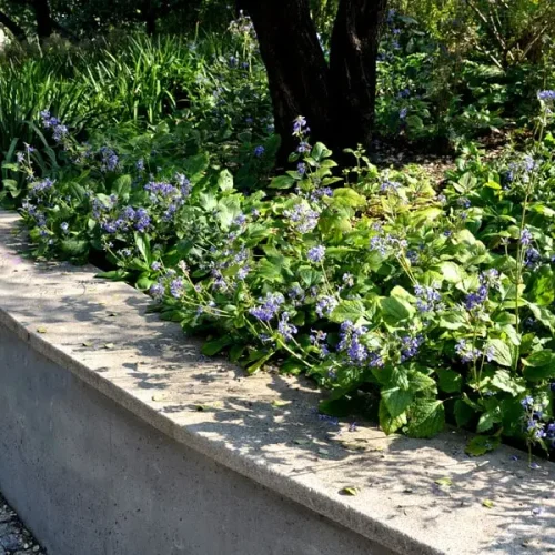 concrete-retaining-wall (2)