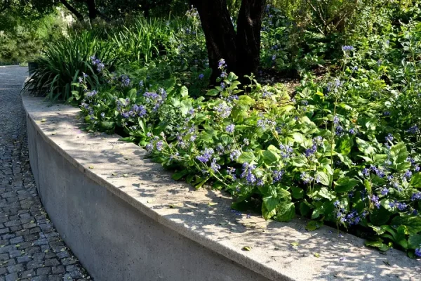 concrete-retaining-wall